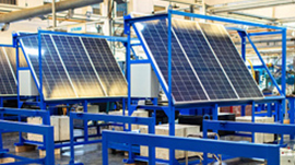 How to Source High-Quality Rabbit Toys for Your Pet Store: A Buyer’s Guide