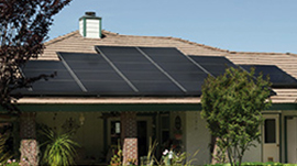 How Much Does It Cost to Custom Manufacture Dog Toys? A Transparent Guide