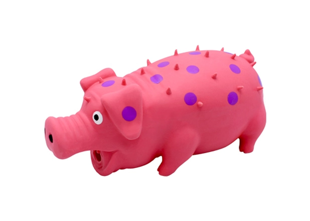 Squeaky Toy