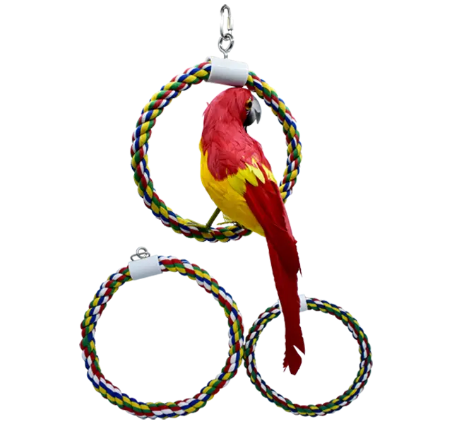 Small Animal Toys and Supplies