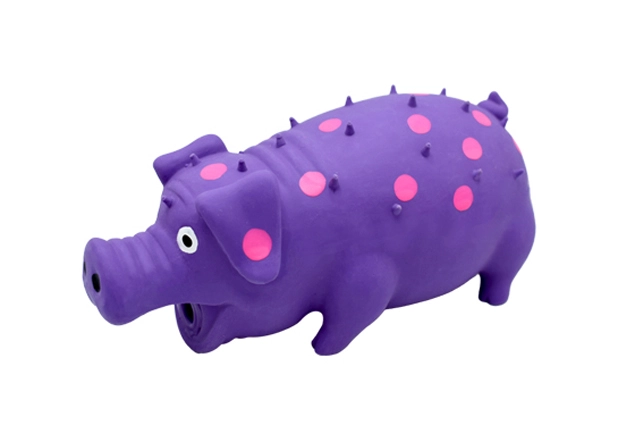 Unbreakable Squeaky Dog Toy