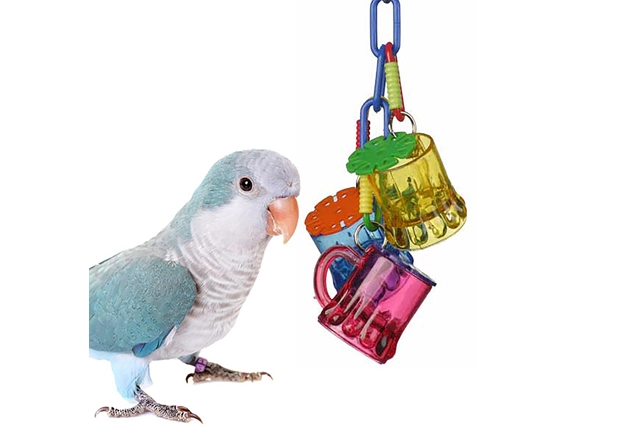 Bird Toy