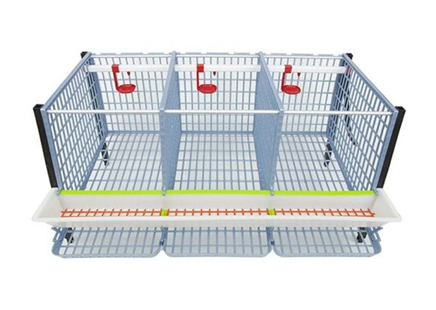 Buy Chicken Cage