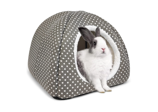 Buy Rabbit Bed