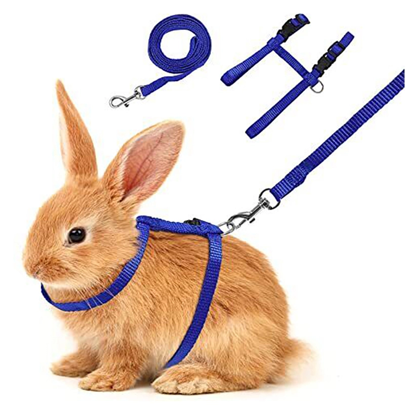 Rabbit Harnesses and Leashes