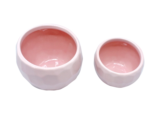 Rabbit Bowl Feeder