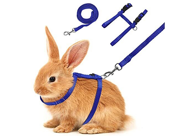 Rabbit Collar Leash Harness
