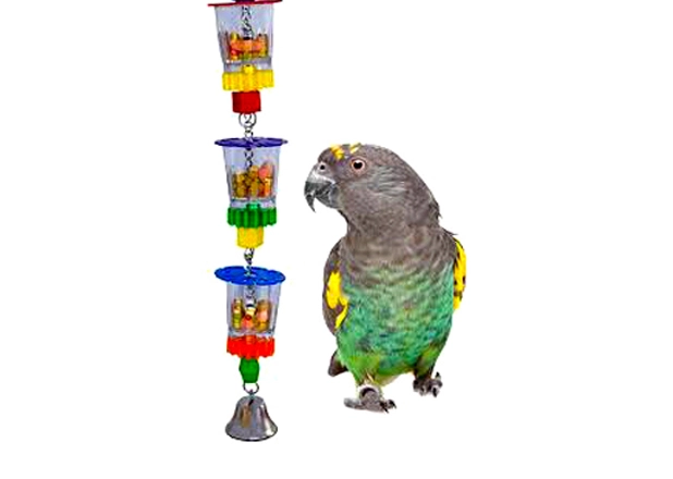 Small Animal Accessories