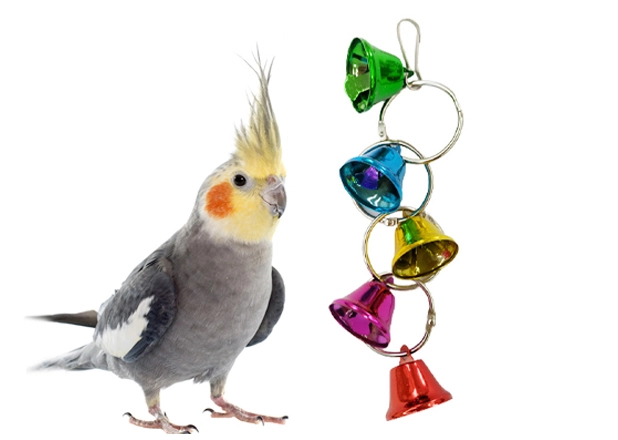 Small Pet Supplies