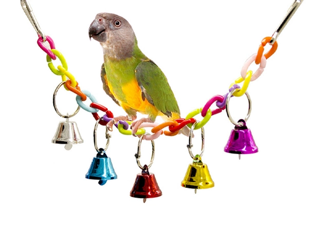 Wholesale Small Animal Supplies