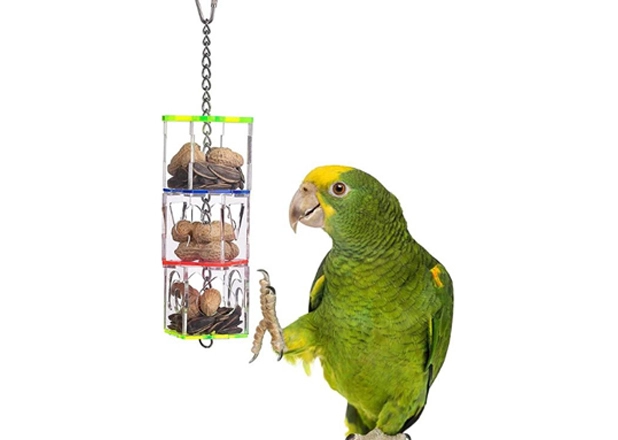 Wholesale Small Pet Supplies