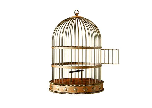 Bird Cage Exporter