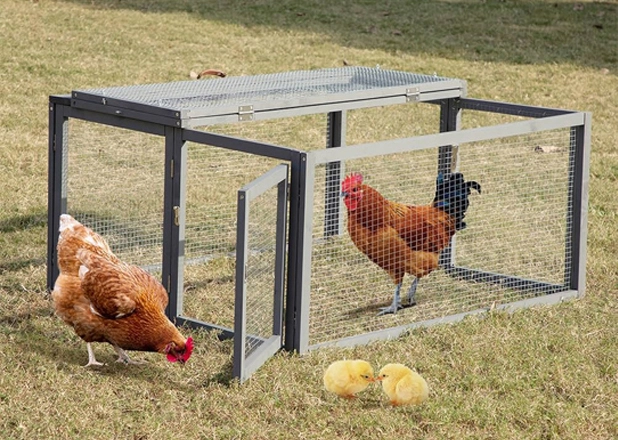 Chicken Cage Exporter