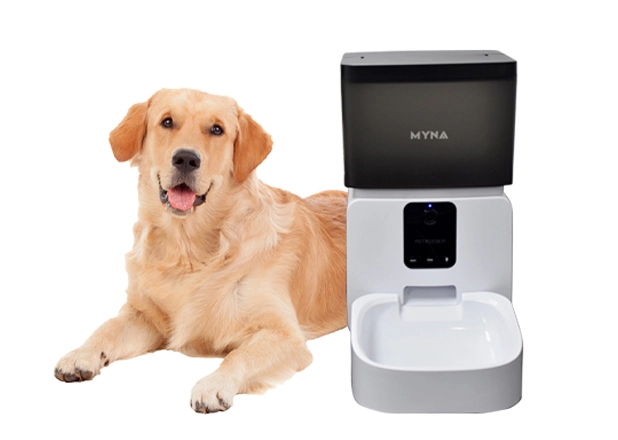 Auto Dog Feeder
