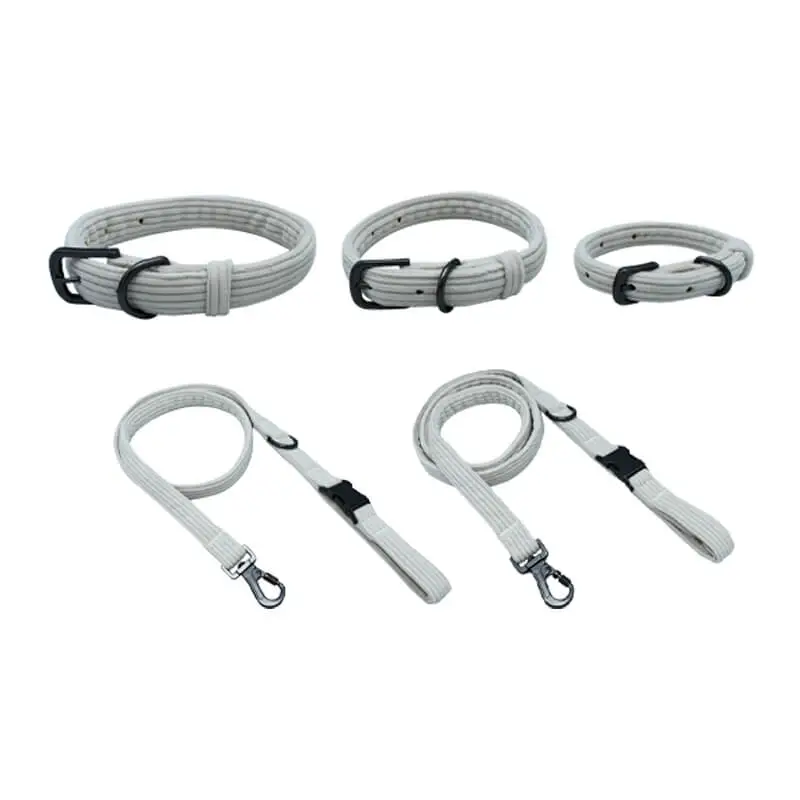 Dog Slip Lead