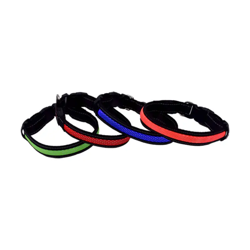 Custom Dog Collars