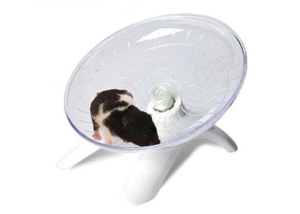 Hamster Wheel Toy Exporter