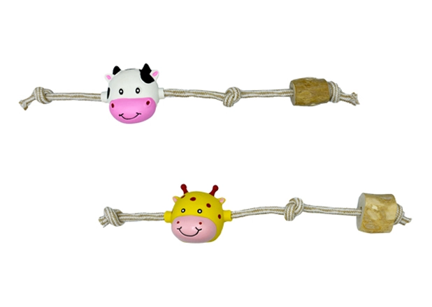 Indestructible Dog Rope Toys