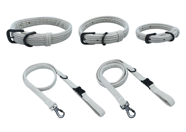 Leashes With Collar