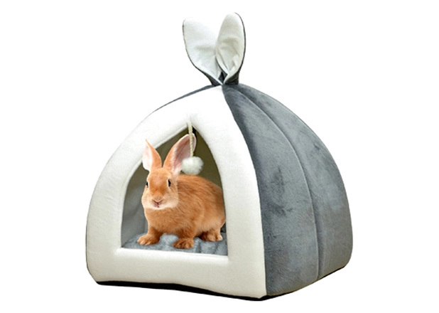 Rabbit Bed Exporter