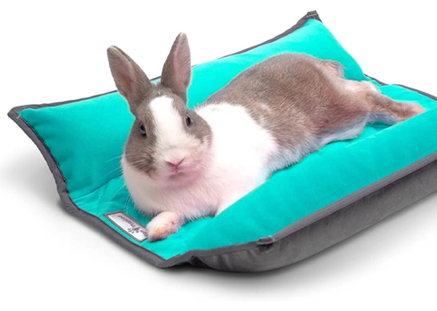 Rabbit Bed In China