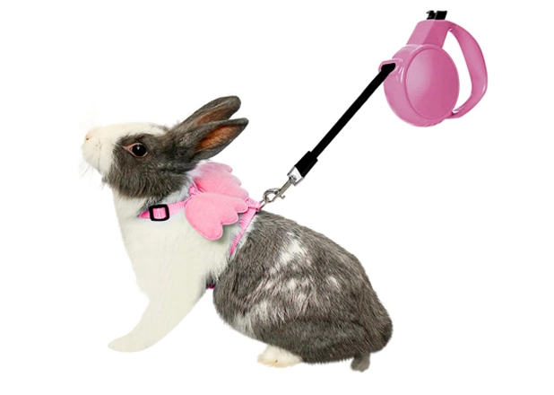 Rabbit Collar Leash Harness Exporter