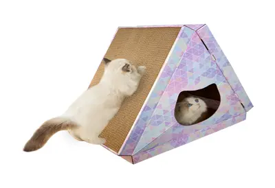 Cat Bed