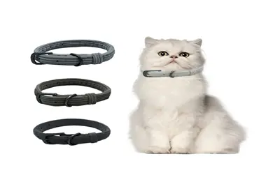 Cat Collars