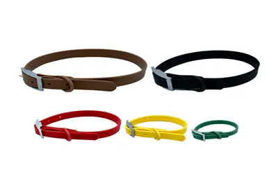 Dog Collars