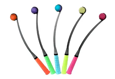 Dog Fetch Toys