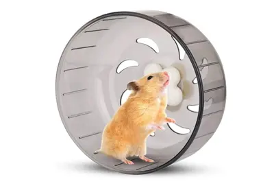 Hamster