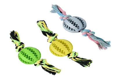 Interactive Dog Toys