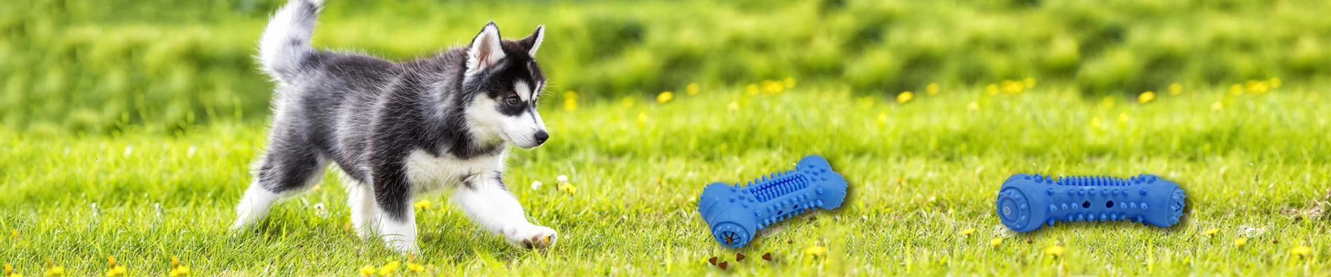 Chew Dog Toys  Types