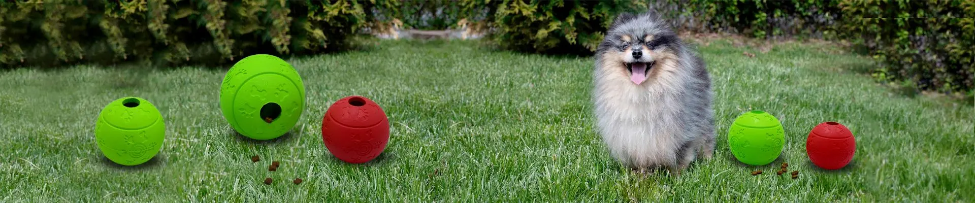 Dog balls Types