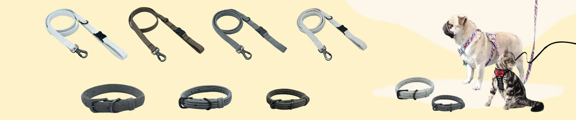 Dog Harness & Leash Types