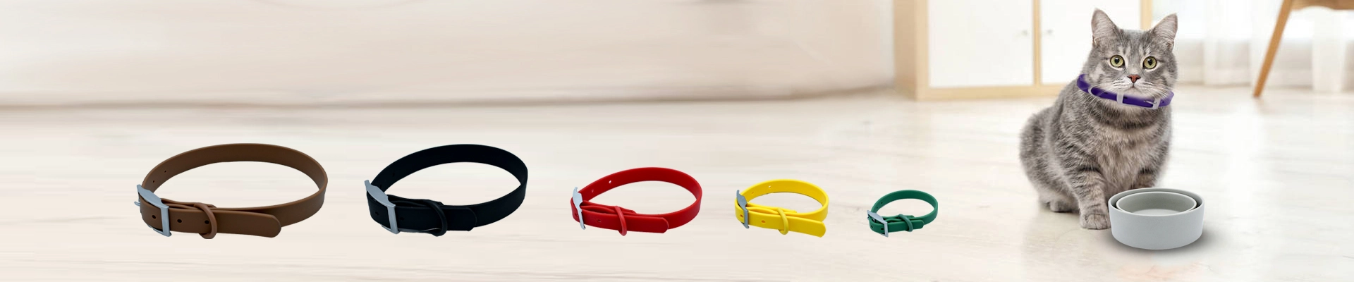 Cat Collars Types