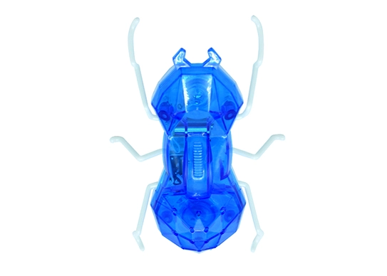 Electric Ant Cat Toys