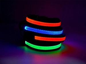 How to Choose Suitable Large Breed Dog Collars?