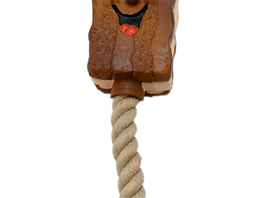 Latex Rope Wooden Dog Toys