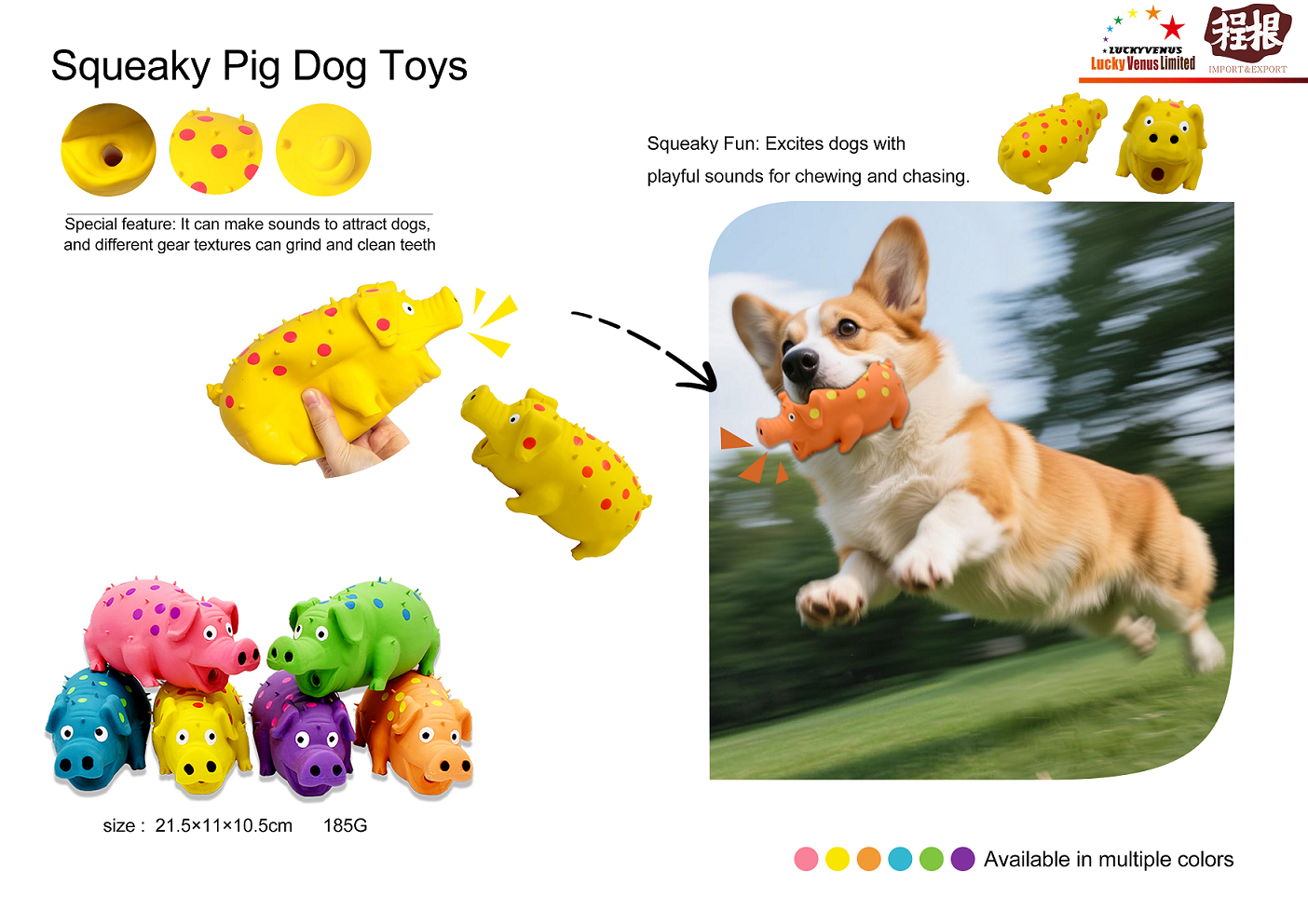 Squeaky Pig Dog Toys