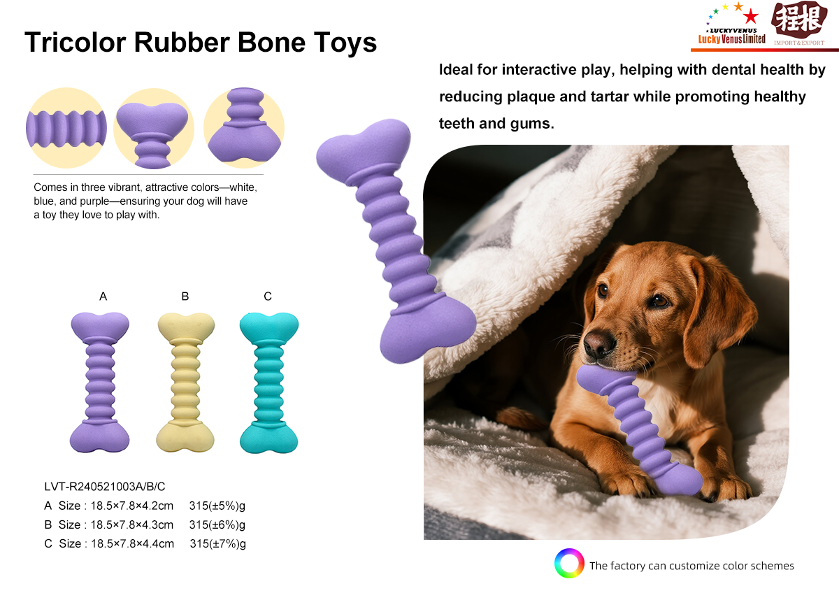 tricolor-rubber-bone-toys-detail.png