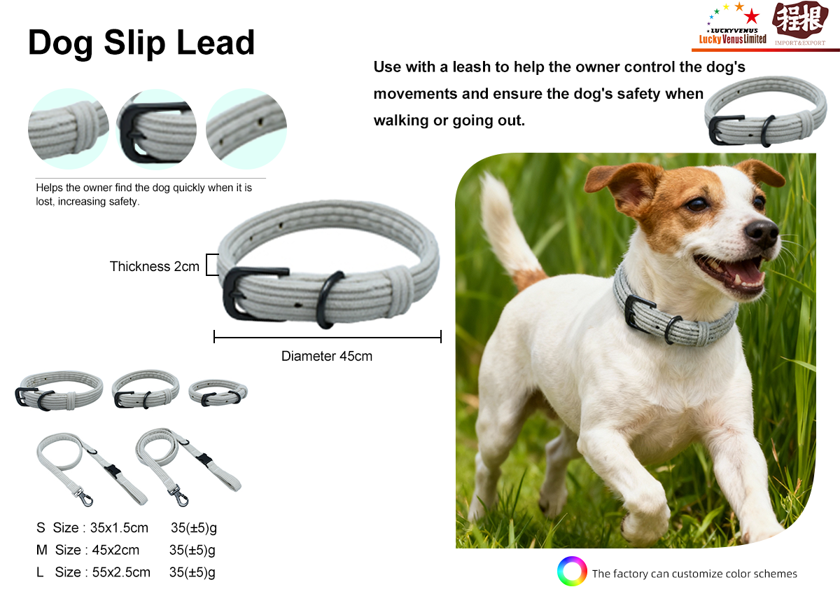 dog-slip-lead-detail.png
