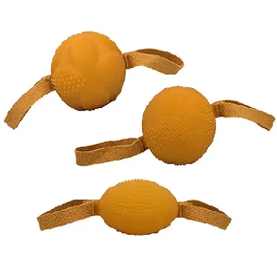 Understanding the Unique Qualities of the Dog Ball