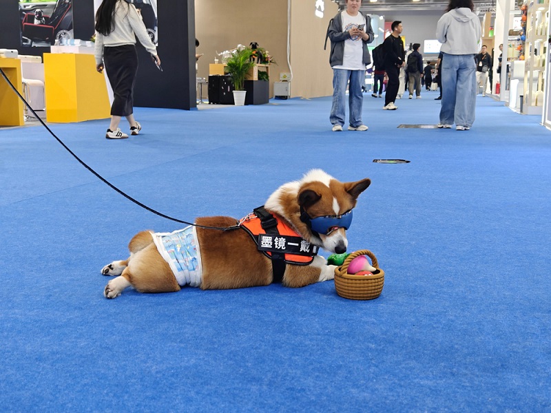 luckyvenus-cips-000.jpg luckyvenus-cips-000.jpg