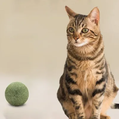 The Ultimate Bulk Buy Guide for Handmade Catnip Toys: Quality, Safety, and Market Trends 2026
