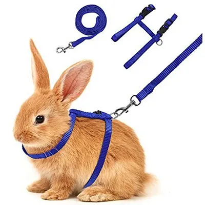How to Source High-Quality Rabbit Toys for Your Pet Store: A Buyer’s Guide