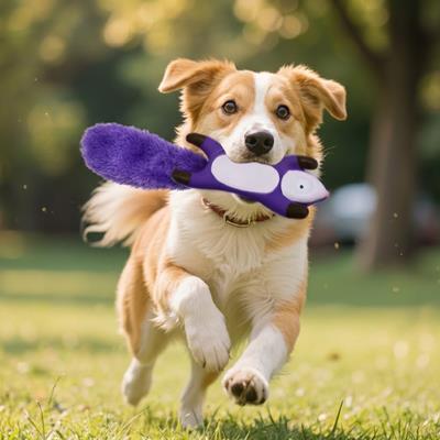 Custom Pet Toys for Brands: A Private Label Product Brief and Sampling Checklist